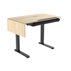 Single Motor Ultra-Quiet Electric Adjustable Drawing Table with 40° Tilt, Drawer & Side Table DH71