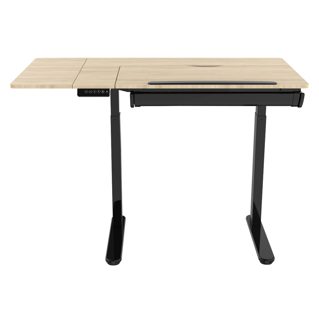 Single Motor Ultra-Quiet Electric Adjustable Drawing Table with 40° Tilt, Drawer & Side Table DH71