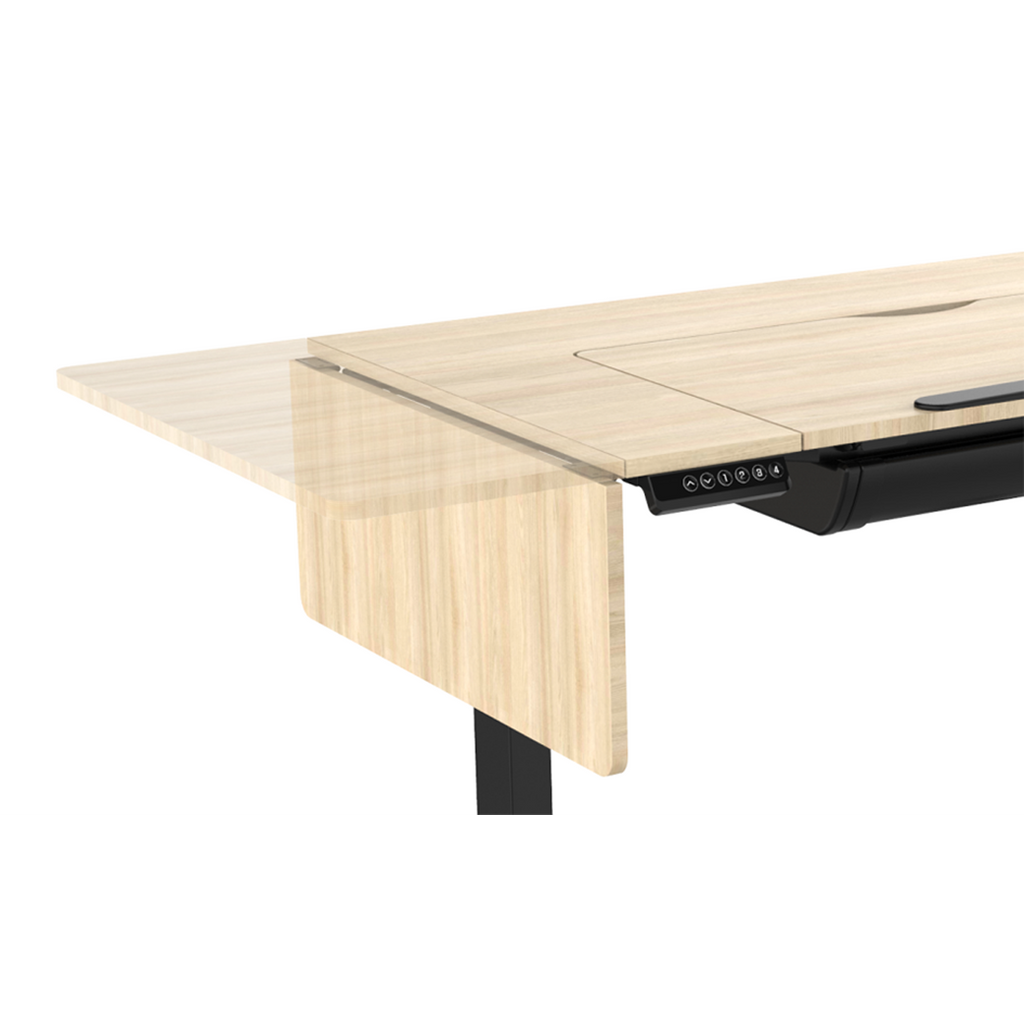 Single Motor Ultra-Quiet Electric Adjustable Drawing Table with 40° Tilt, Drawer & Side Table DH71
