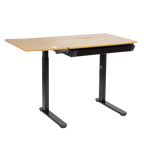Single Motor Ultra-Quiet Electric Adjustable Drawing Table with 40° Tilt, Drawer & Side Table DH71