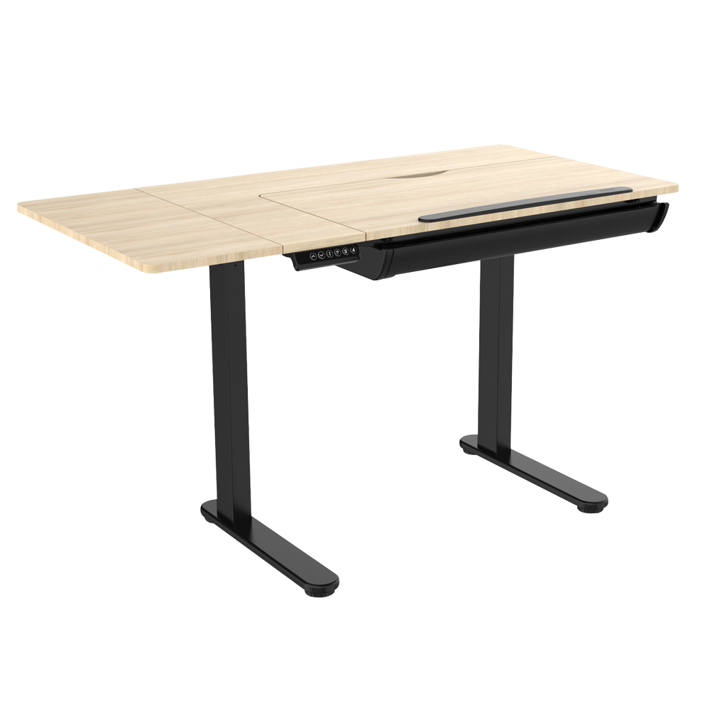 Single Motor Ultra-Quiet Electric Adjustable Drawing Table with 40° Tilt, Drawer & Side Table DH71