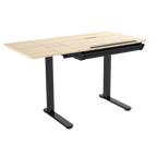 Single Motor Ultra-Quiet Electric Adjustable Drawing Table with 40° Tilt, Drawer & Side Table DH71