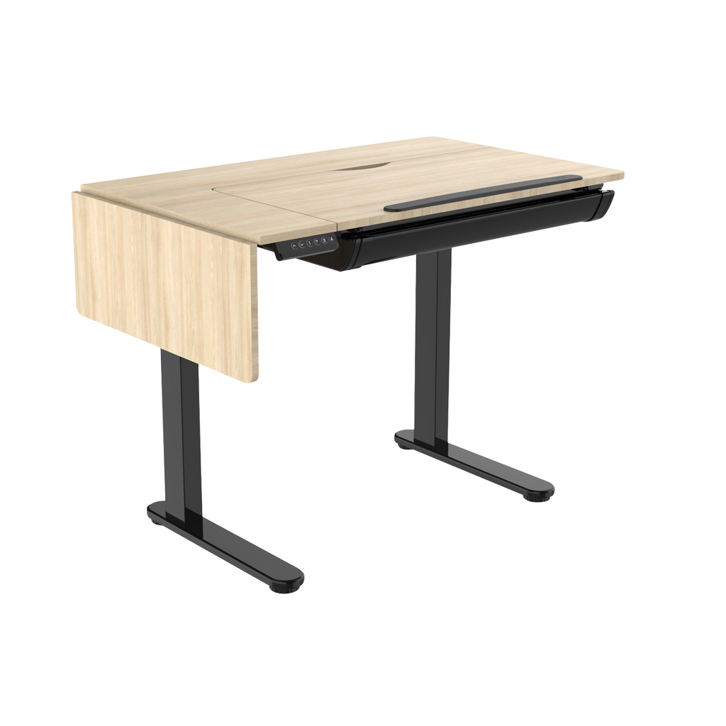 Single Motor Ultra-Quiet Electric Adjustable Drawing Table with 40° Tilt, Drawer & Side Table DH71
