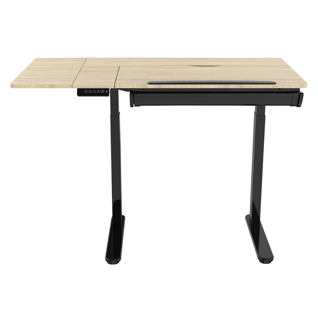 Single Motor Ultra-Quiet Electric Adjustable Drawing Table with 40° Tilt, Drawer & Side Table DH71