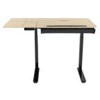 Single Motor Ultra-Quiet Electric Adjustable Drawing Table with 40° Tilt, Drawer & Side Table DH71