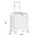 Cabin Size Luggage with Laptop Compartments & Dual TSA Lock 18" DL156
