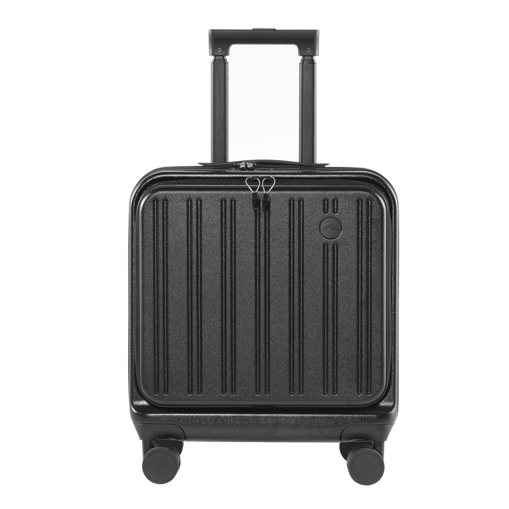 Cabin Size Luggage with Laptop Compartments & Dual TSA Lock 18" DL156