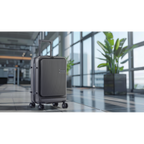 Cabin Size Luggage with Laptop Compartments & Dual TSA Lock 20" DL157