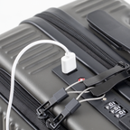 Cabin Size Luggage with Laptop Compartments & Dual TSA Lock 20" DL157