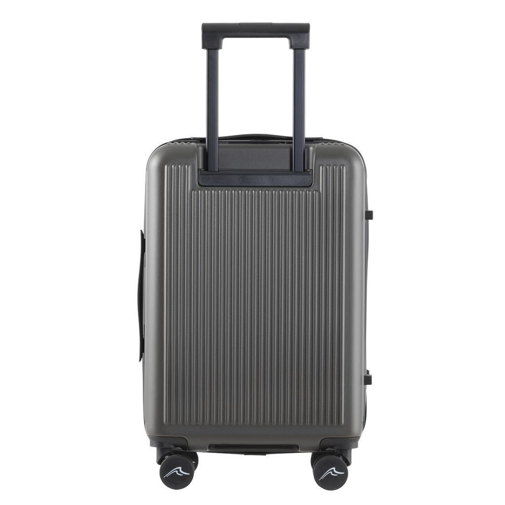 Cabin Size Luggage with Laptop Compartments & Dual TSA Lock 20" DL157