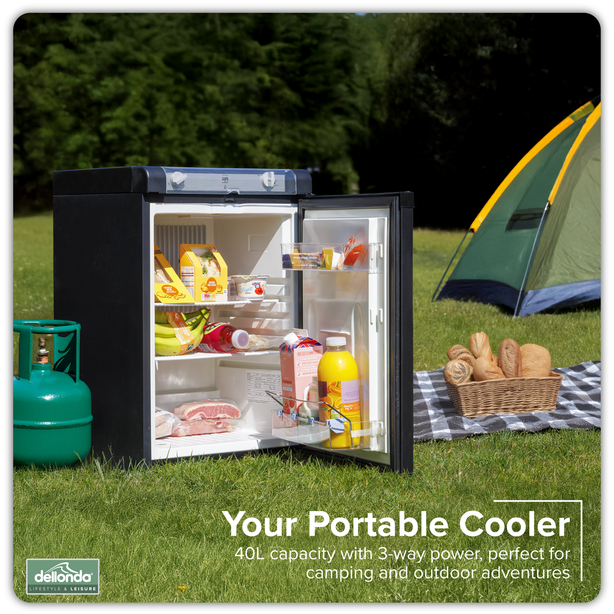 3-Way Fridge 40L DL158