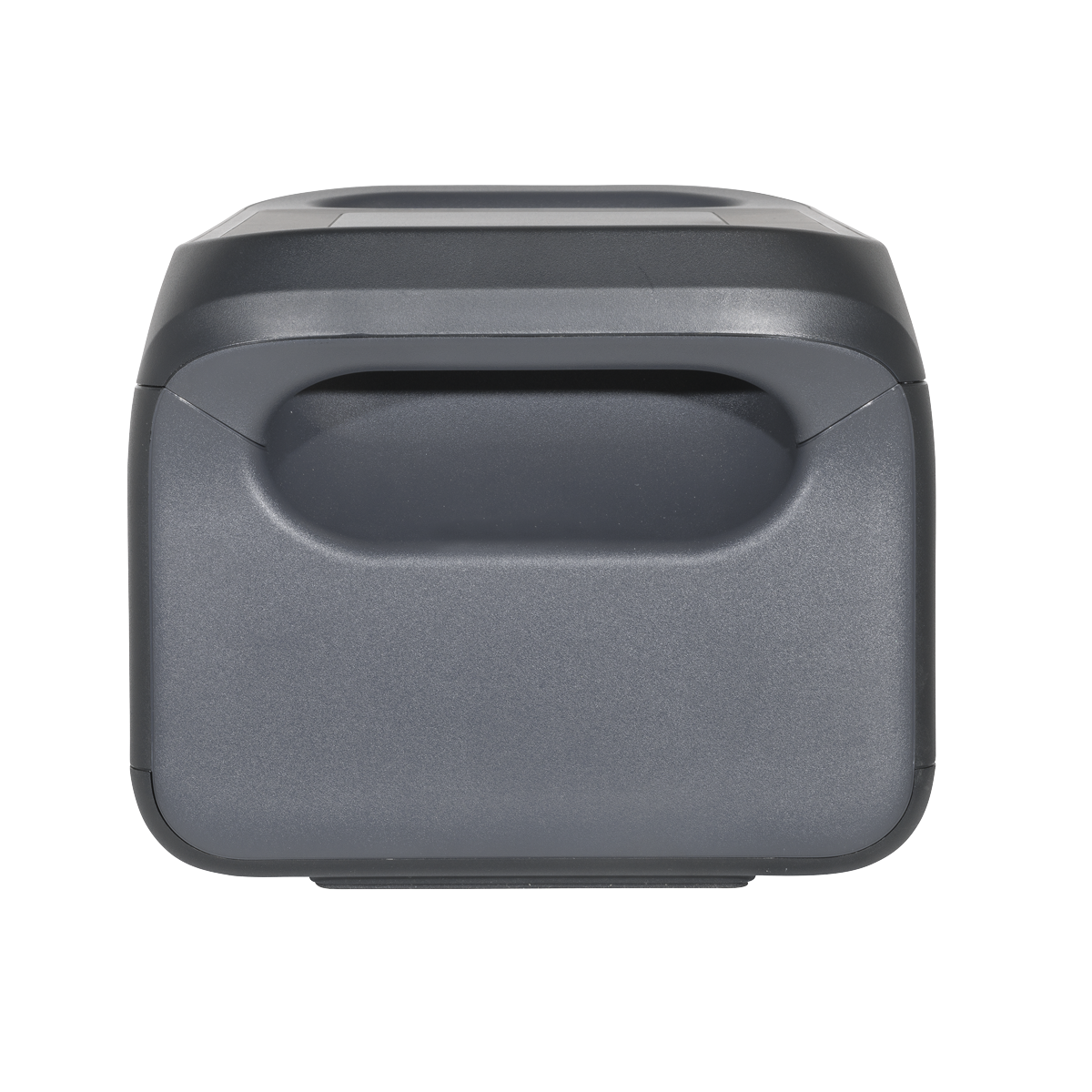 Power Station Expansion Battery DL164