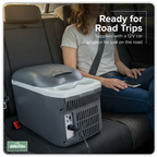 8L Portable Cool Box 12V DL166