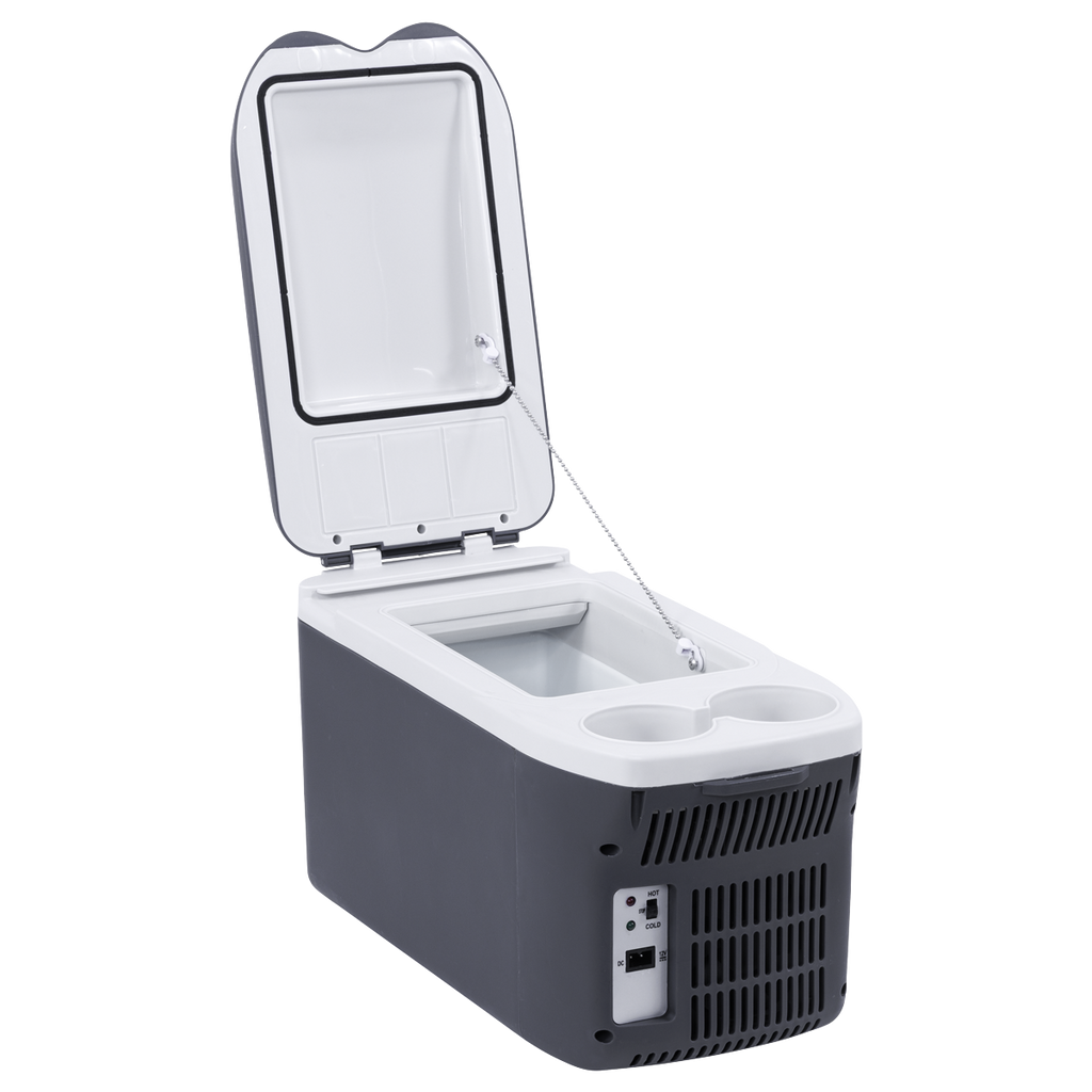 8L Portable Cool Box 12V DL166