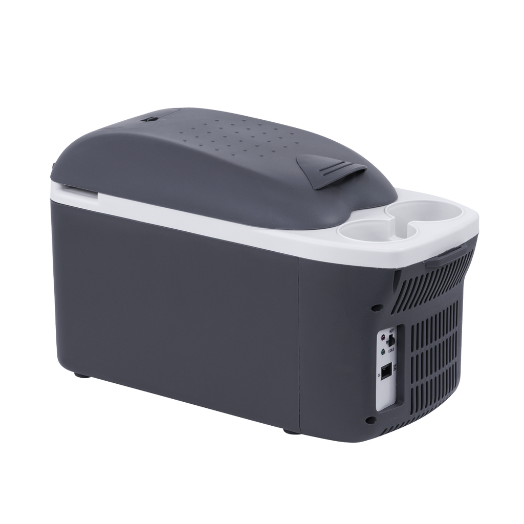 8L Portable Cool Box 12V DL166