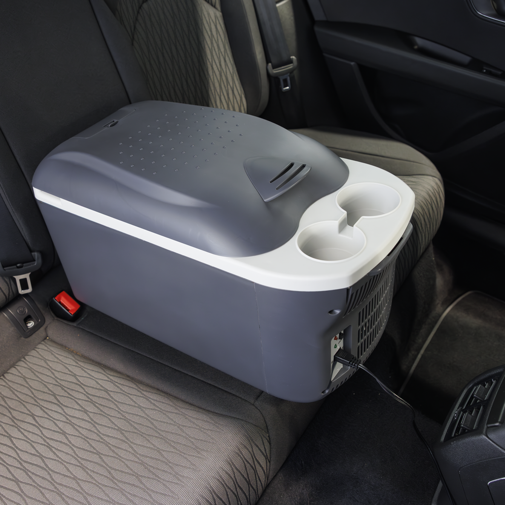 16L Portable Cool Box 12V/230V DL167