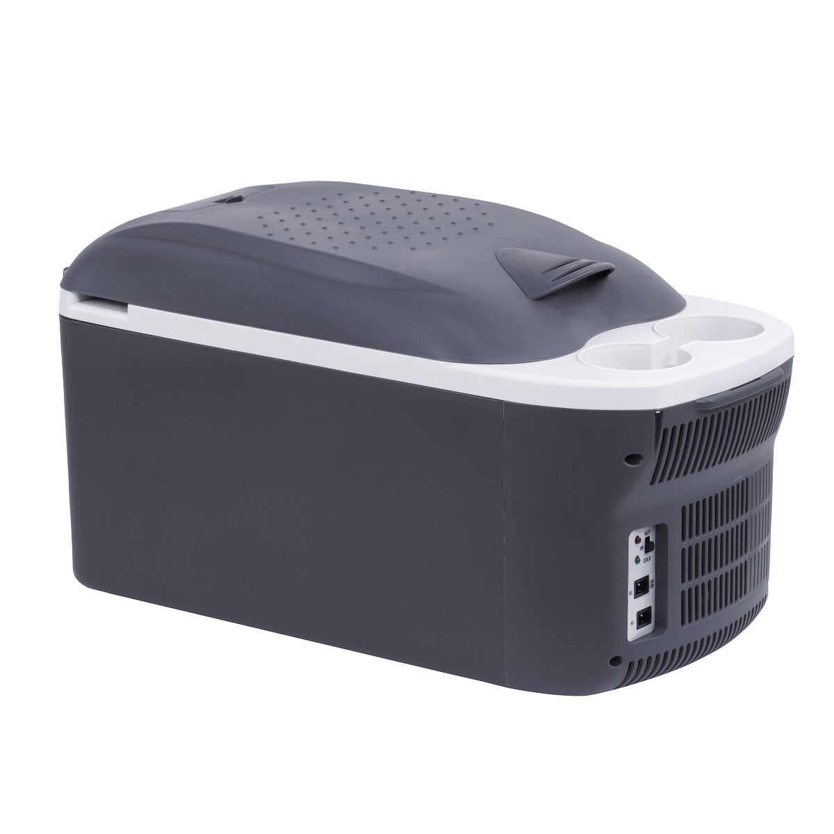 16L Portable Cool Box 12V/230V DL167