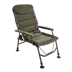 Portable Reclining Chair with Armrests DL73