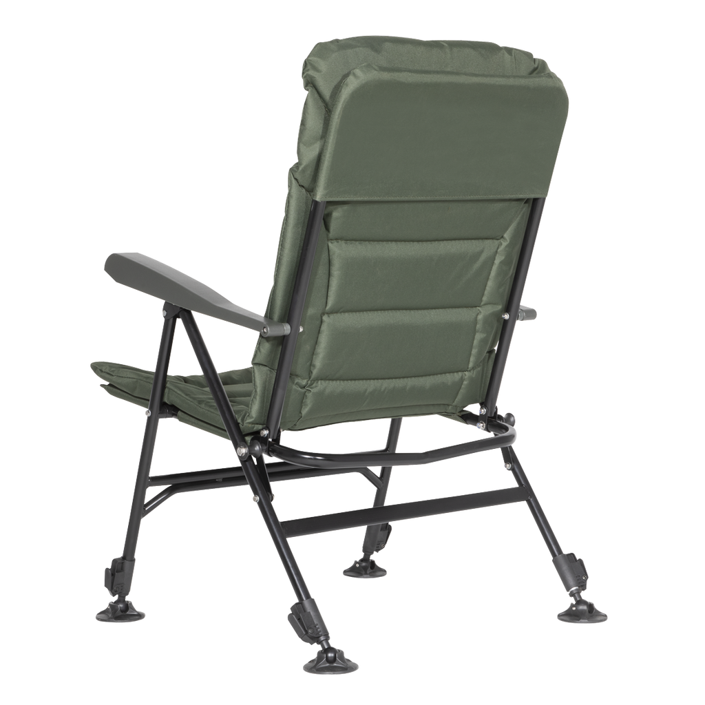 Portable Reclining Chair with Armrests DL74