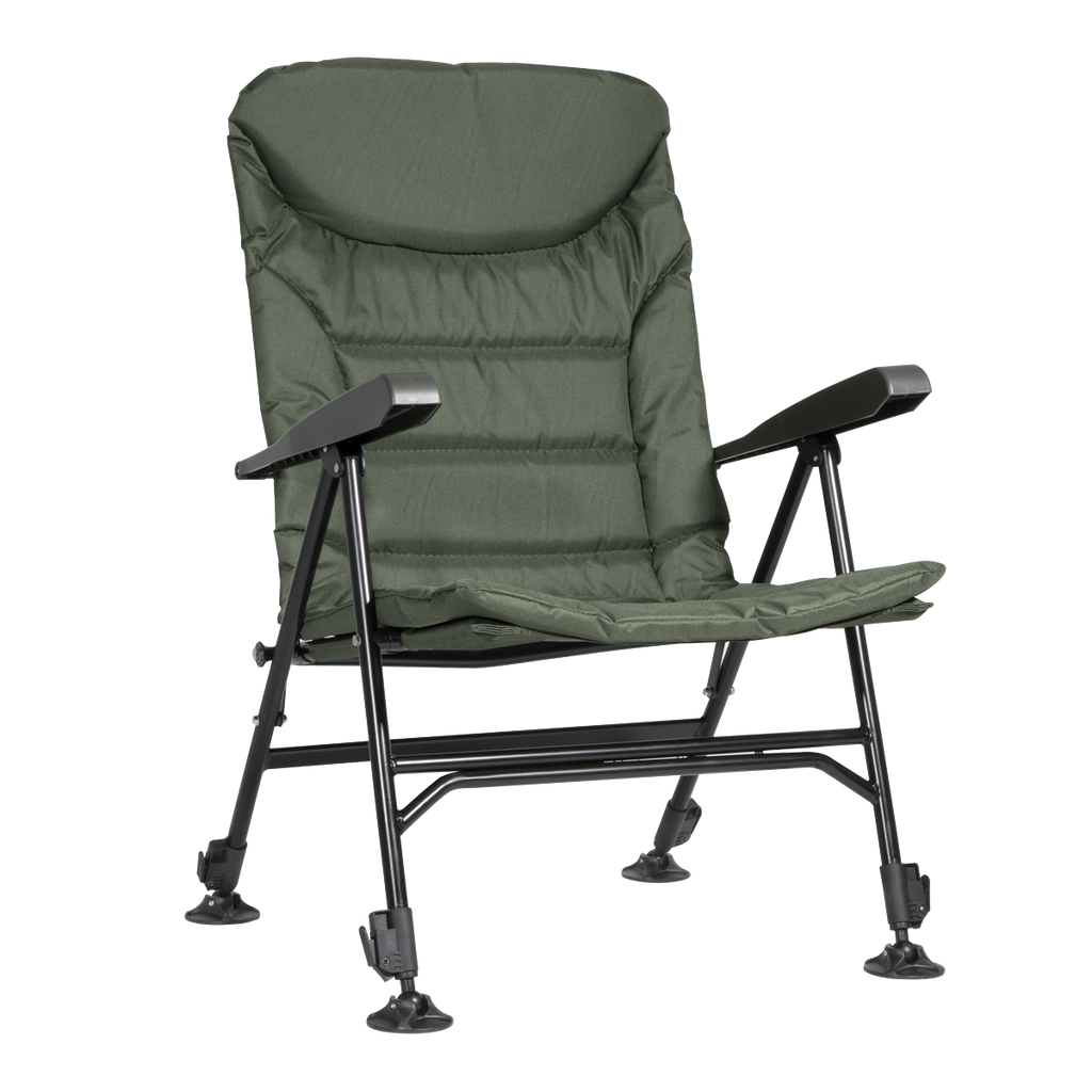 Portable Reclining Chair with Armrests DL74
