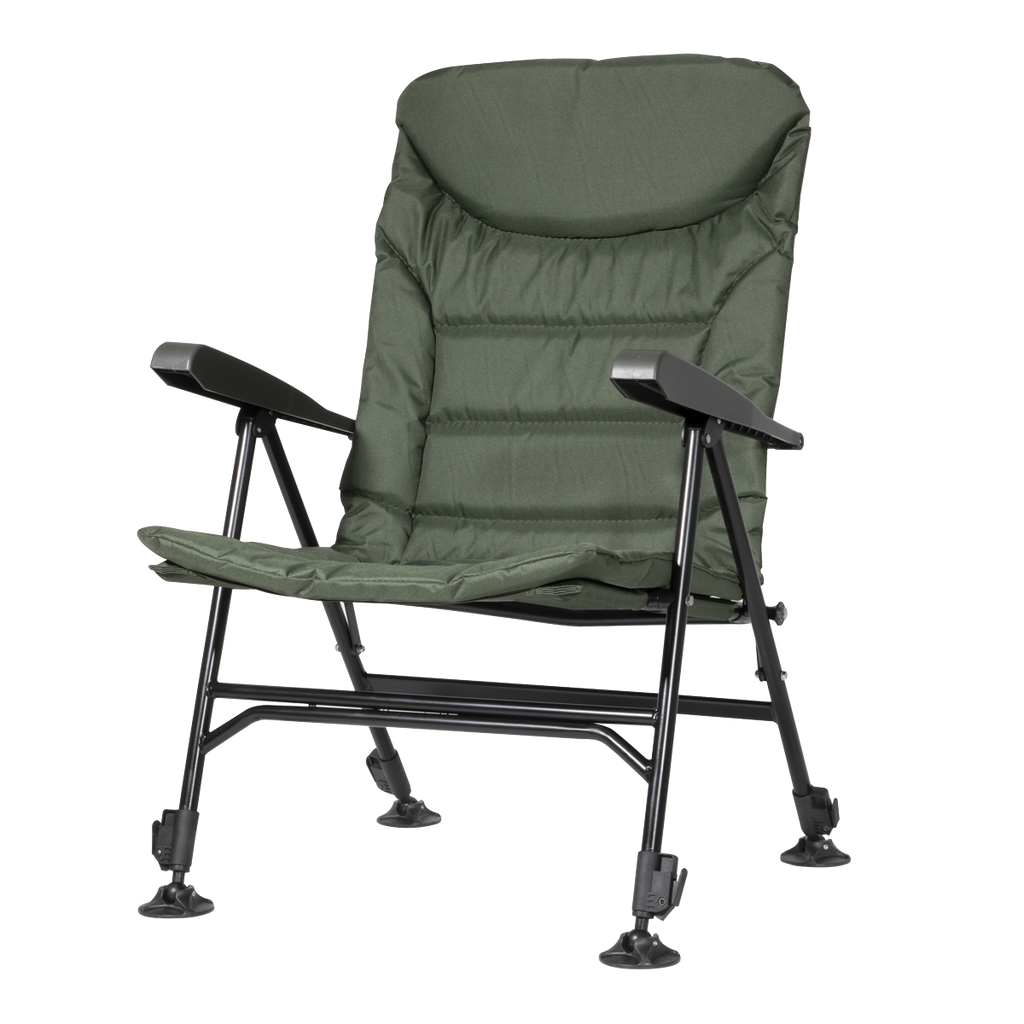 Portable Reclining Chair with Armrests DL74