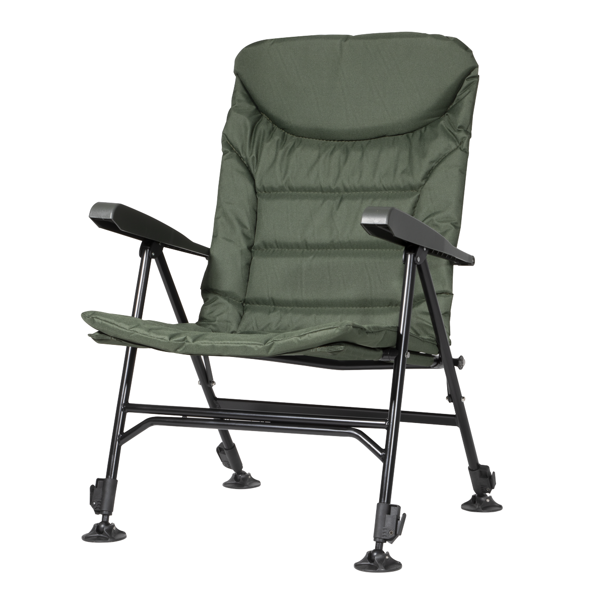 Portable Reclining Chair with Armrests DL74