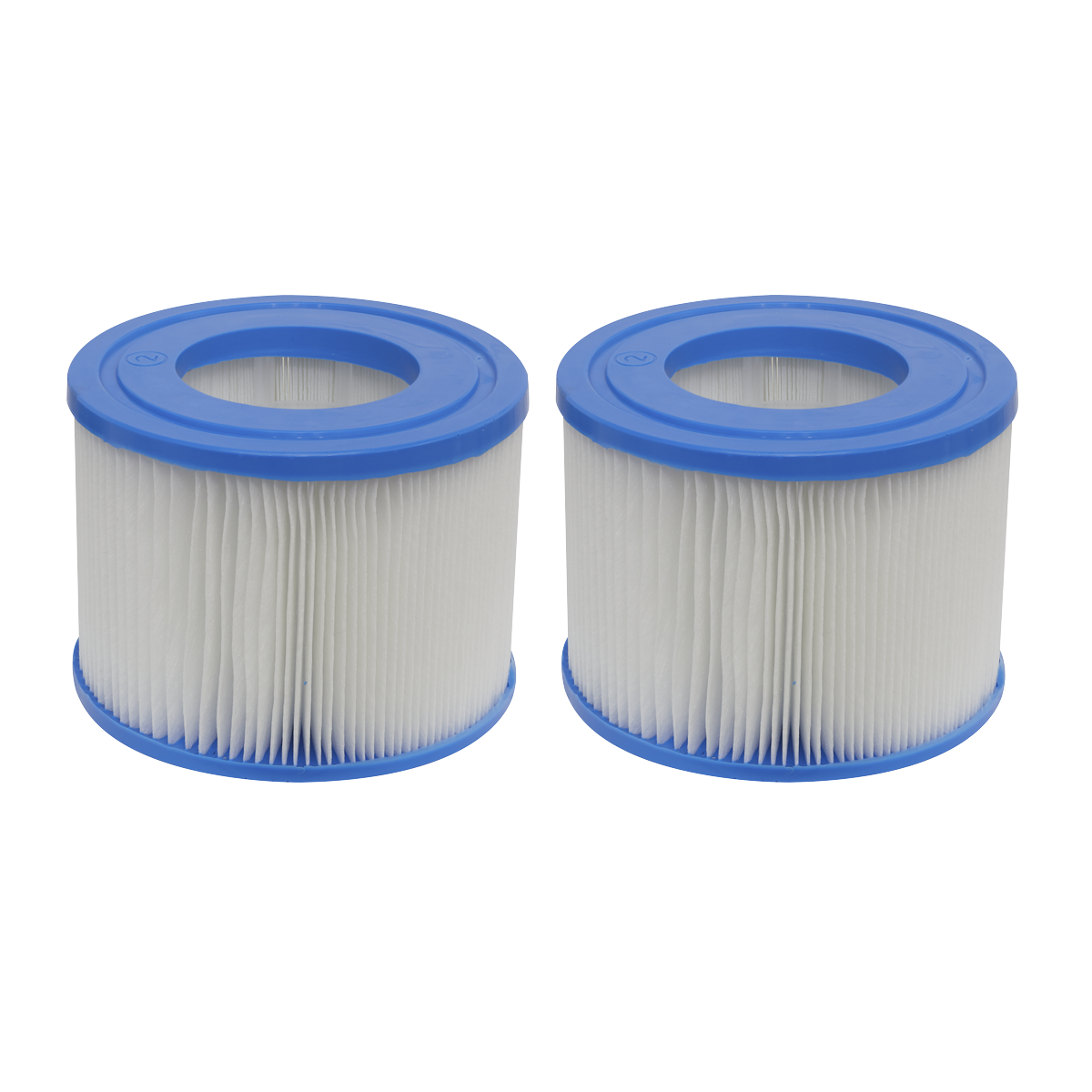 Hot Tub/Spa Filter Cartridge - Pack of 2 DL79