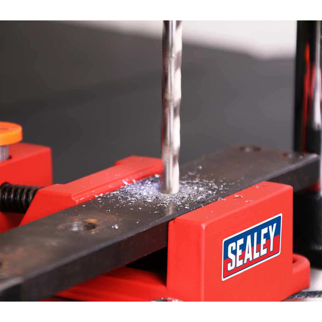 Drill Stand with Cast Iron Base 500mm & Vice 65mm DS01