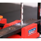 Drill Stand with Cast Iron Base 500mm & Vice 65mm DS01