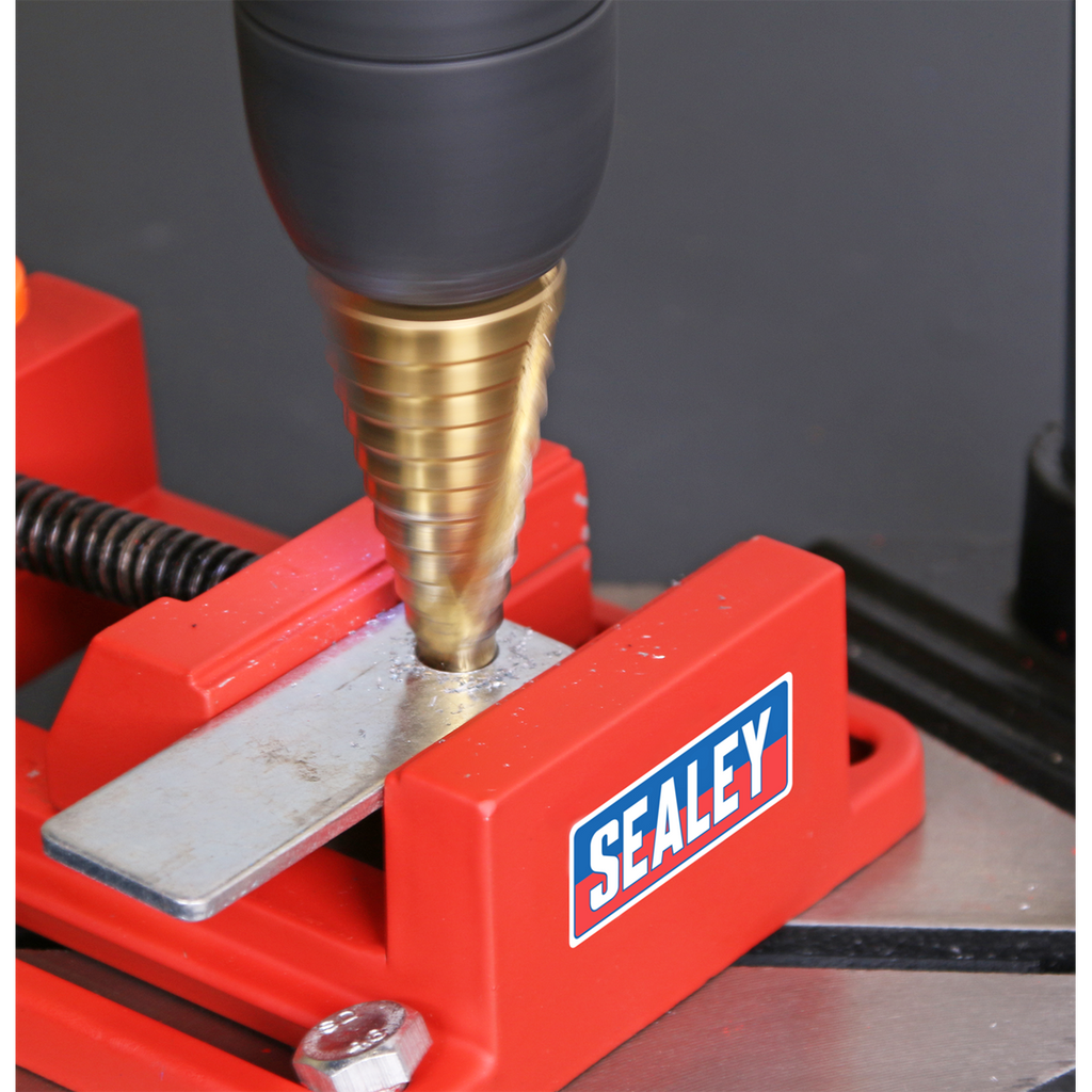 Drill Stand with Cast Iron Base 500mm & Vice 65mm DS01