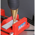 Drill Stand with Cast Iron Base 500mm & Vice 65mm DS01