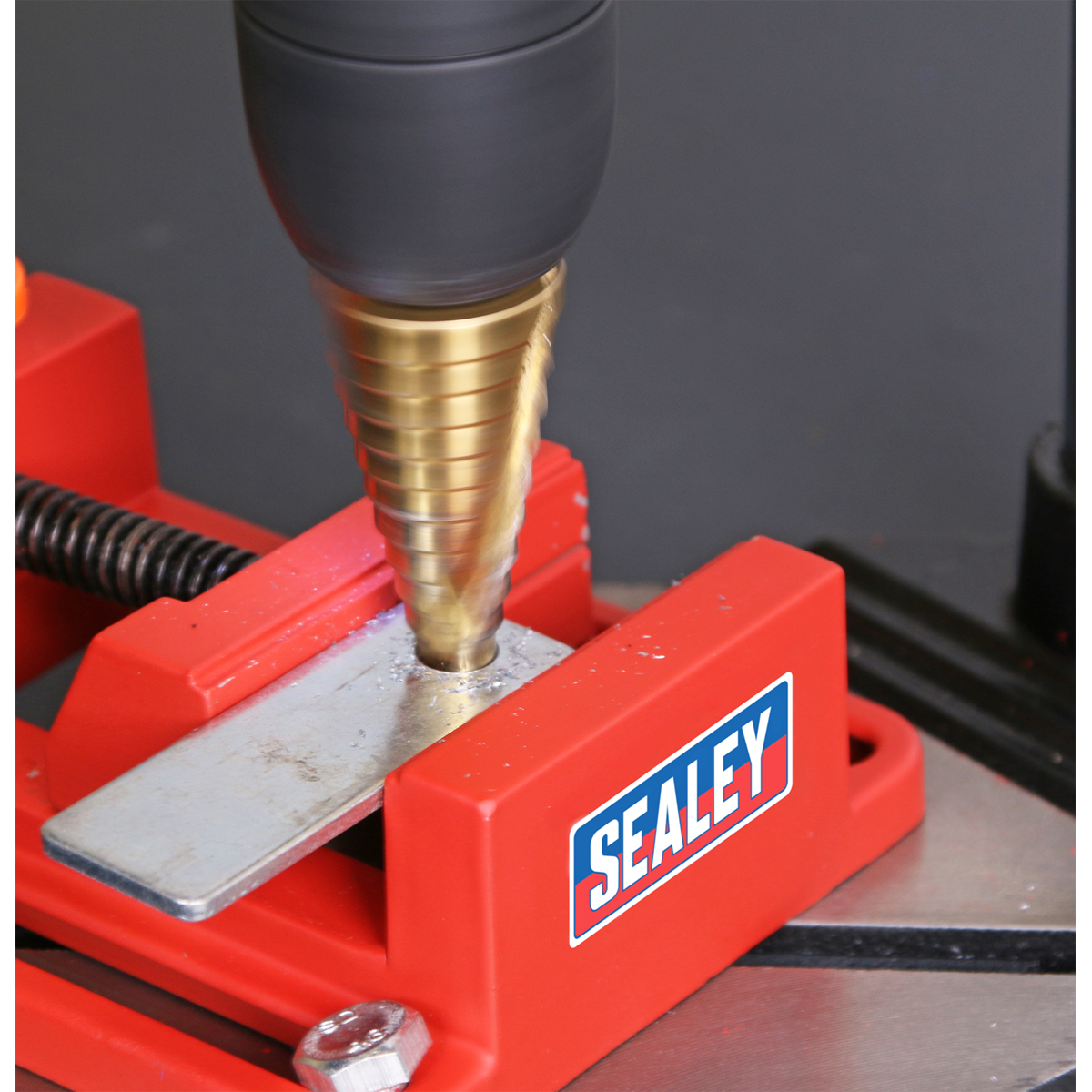 Drill Stand with Cast Iron Base 500mm & Vice 65mm DS01