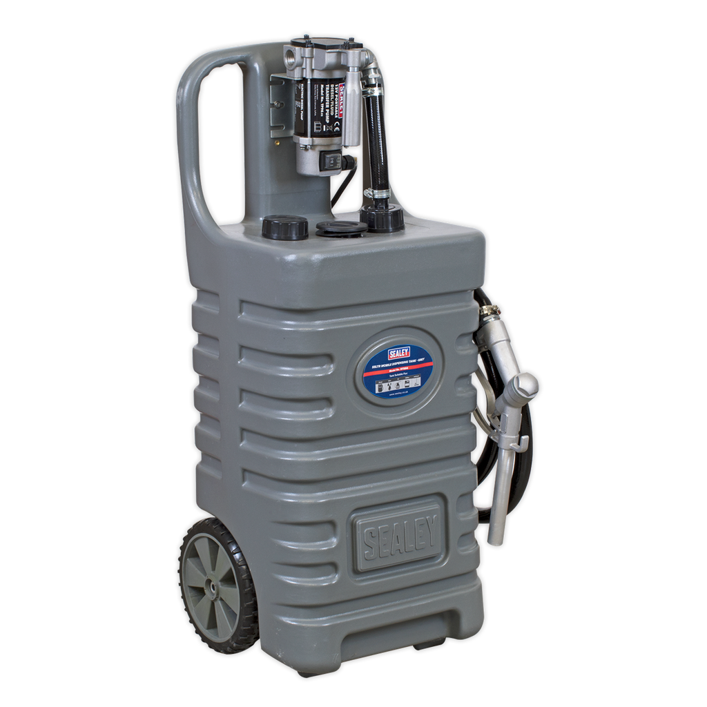 Mobile Dispensing Tank with Diesel Pump 55L - Grey DT55GCOMBO1