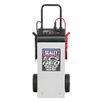12/24V Electronic Charger Maintainer/Starter 100/650A ECS650