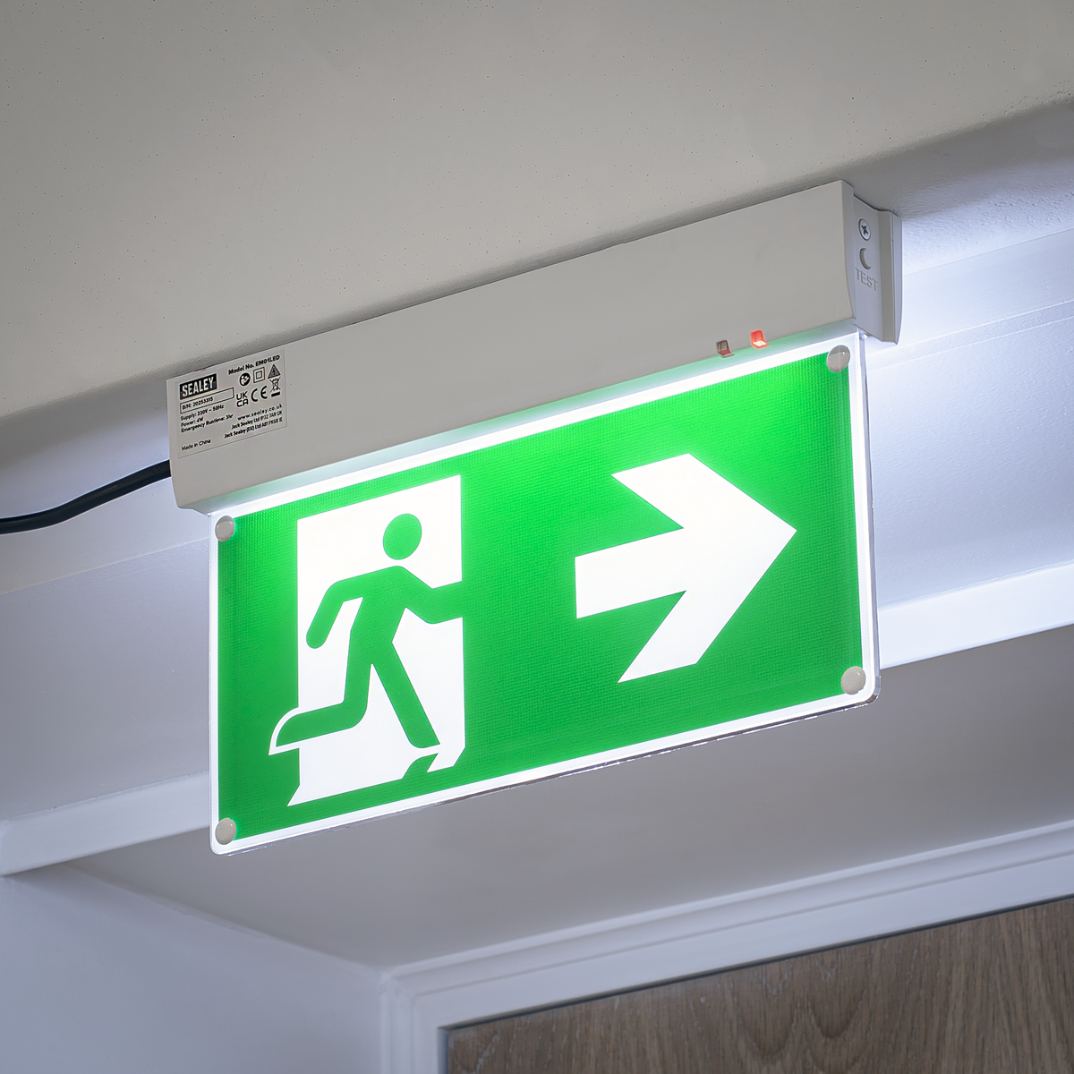 Maintained Emergency LED Fire Exit Sign EM01LED