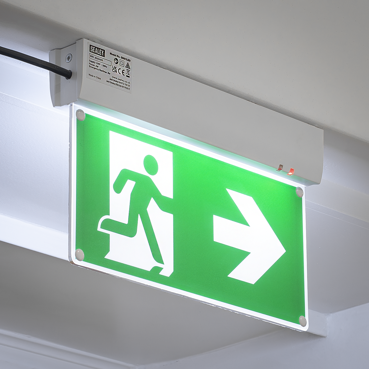 Maintained Emergency LED Fire Exit Sign EM01LED
