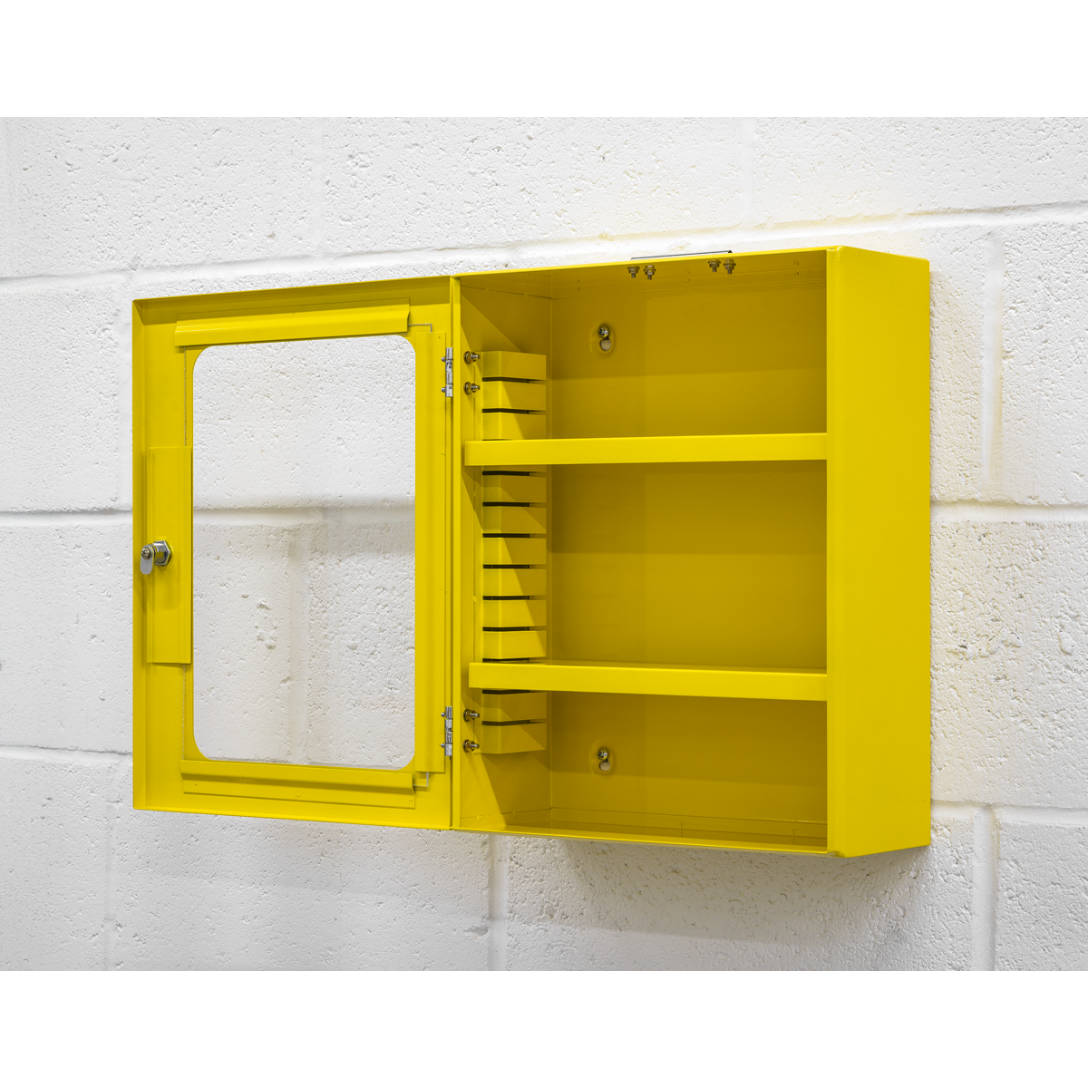 Safety Lockout Cabinet EV10