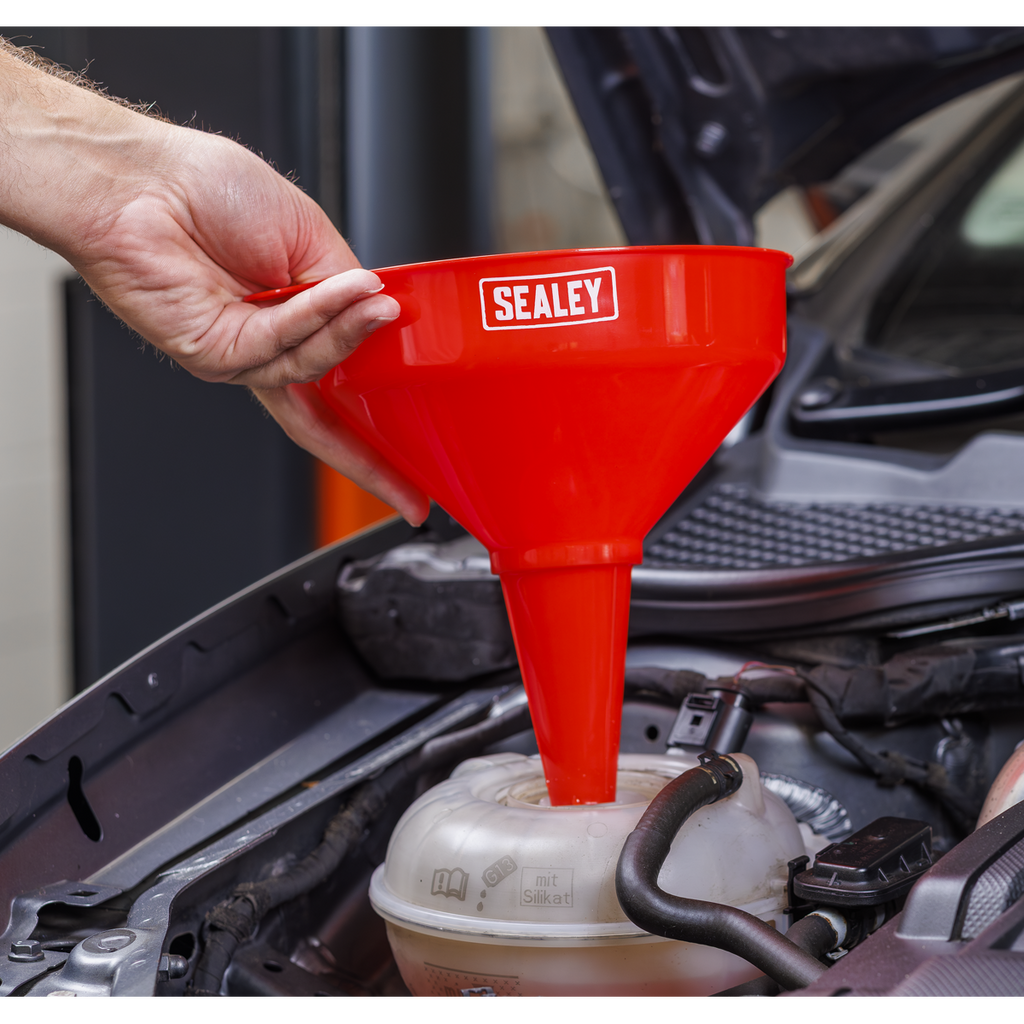 Fixed Spout Funnel with Filter 200mm - Medium F2