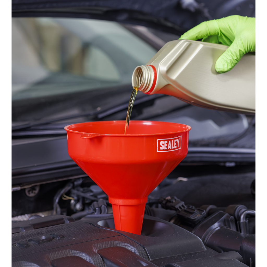 Fixed Spout Funnel with Filter 200mm - Medium F2
