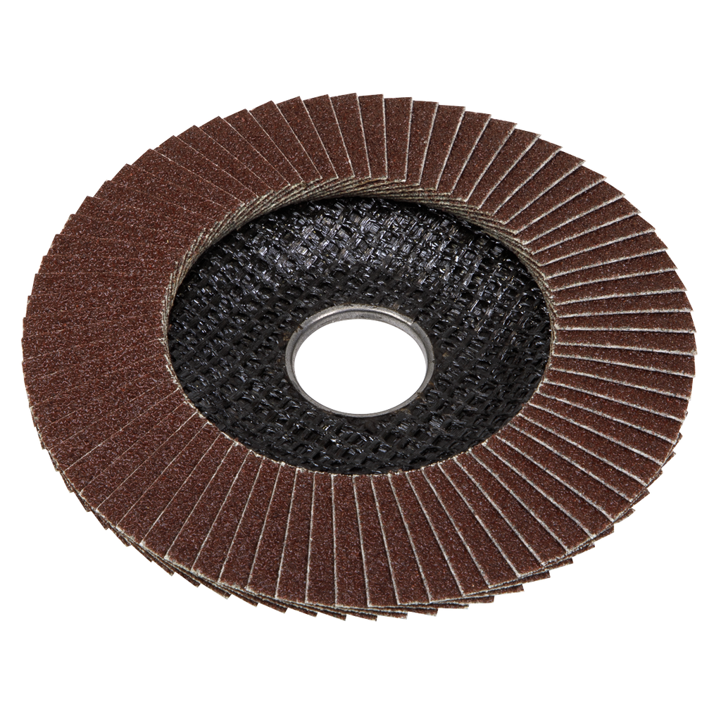 100mm Aluminium Oxide Flap Disc 120Grit 16mm Bore FD100120E