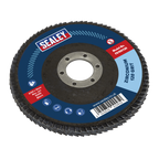 100mm Zirconium Flap Disc 120Grit 16mm Bore FD100120