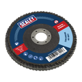 100mm Zirconium Flap Disc 40Grit 16mm Bore FD10040