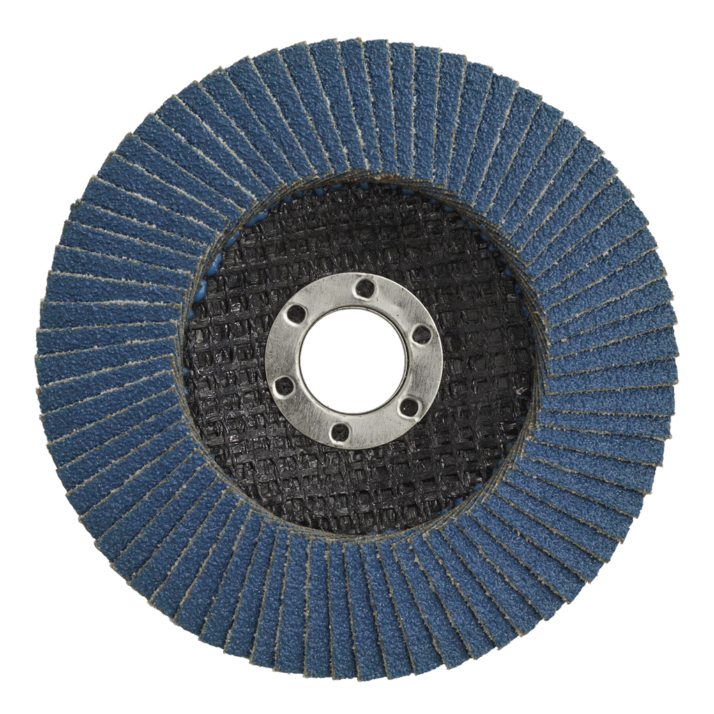 100mm Zirconium Flap Disc 40Grit 16mm Bore FD10040