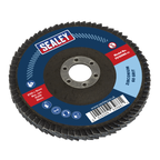 100mm Zirconium Flap Disc 60Grit 16mm Bore FD10060