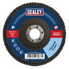 100mm Zirconium Flap Disc 60Grit 16mm Bore FD10060