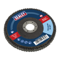 100mm Zirconium Flap Disc 80Grit 16mm Bore FD10080