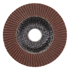 125mm Aluminium Oxide Flap Disc 120Grit 22mm Bore FD125120E