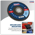 125mm Zirconium Flap Disc 60Grit 22mm Bore FD12560