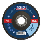 125mm Zirconium Flap Disc 60Grit 22mm Bore FD12560