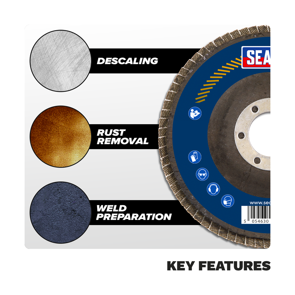 100mm Zirconium Flap Disc 80Grit 16mm Bore FD10080